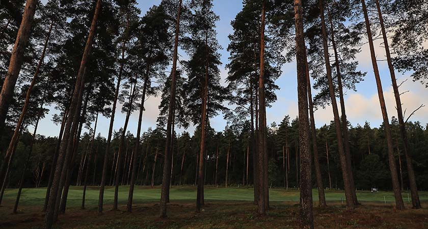 Golfarien määrä väheni viime kesänä Ruotsissa. Kuvassa Hills Golf Clubin kenttä Göteborgissa.
