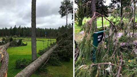 Aila-myrsky kaatoi puita kulkureiteille