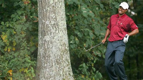 Tiger Woods on kärsinyt useista loukkaantumista.